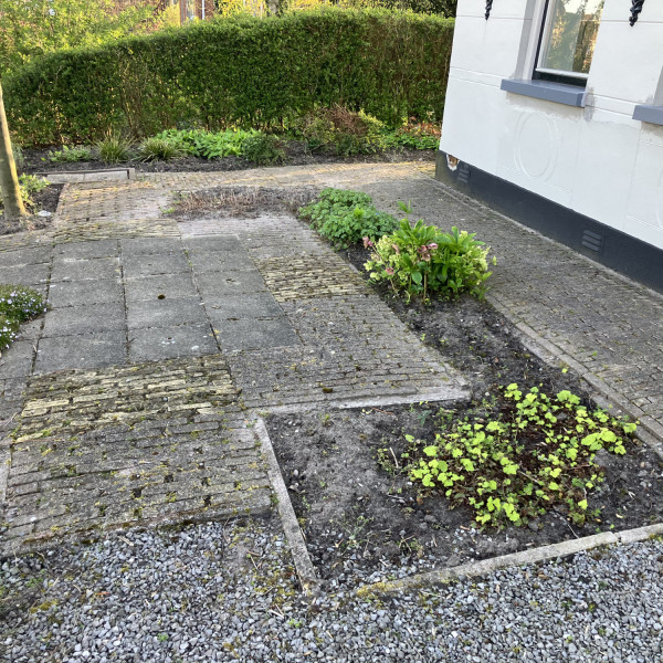 Hogedruk reinigen en stoom reinigen tuin en terras